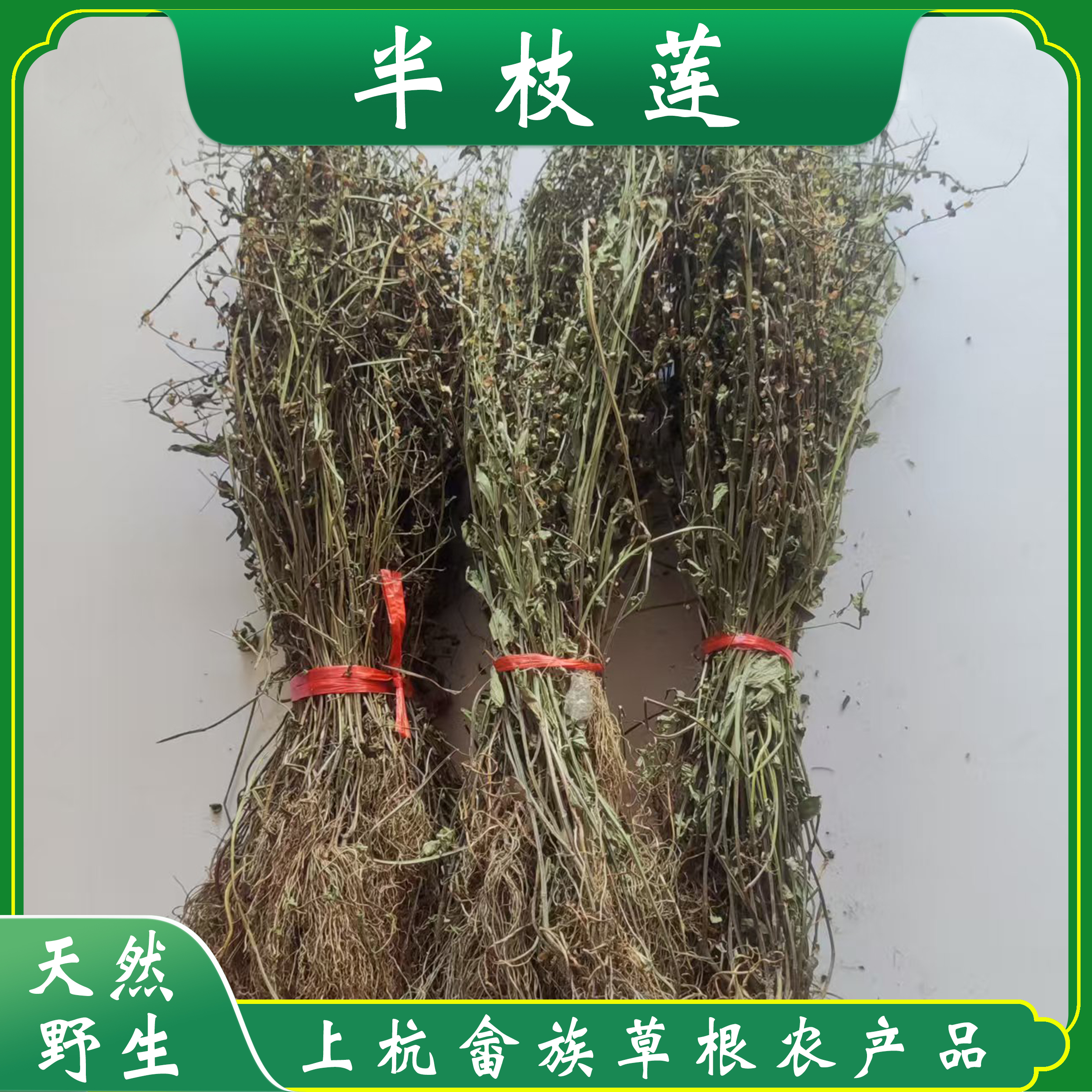 野生半枝莲 韩信草 优质干货整株煲汤 自然晒干无杂质 肝的草 