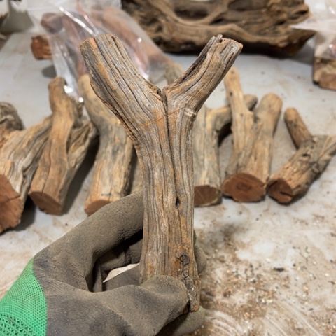 大果紫檀（缅甸花梨）乐*剧