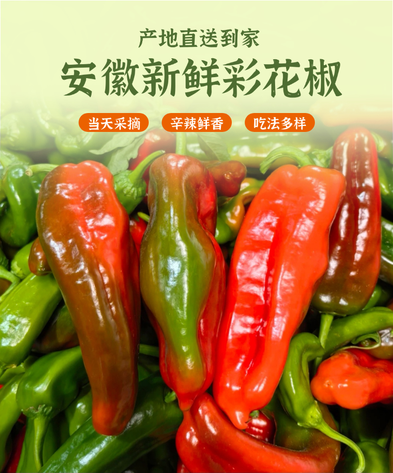【买三斤送两斤】农家自种植新鲜现摘五彩辣椒微辣汁多好吃皮薄肉厚