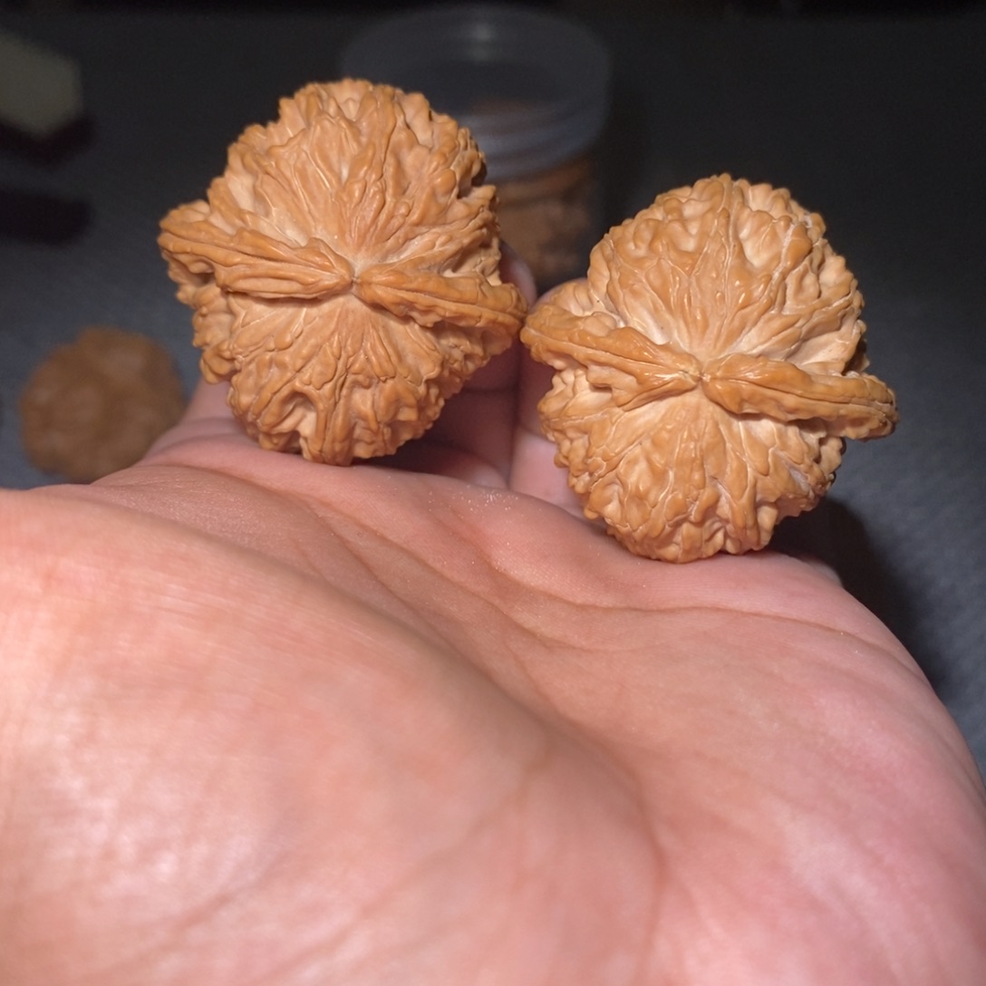 桃核吊坠40尺白狮子