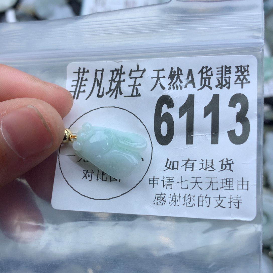 翡翠颈饰未镶嵌6113。