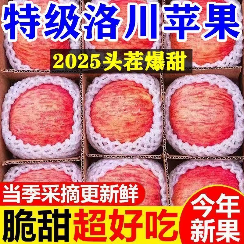 【现摘现发】高山脆甜多汁陕西红富士苹果新鲜应季水果苹果坏果包赔
