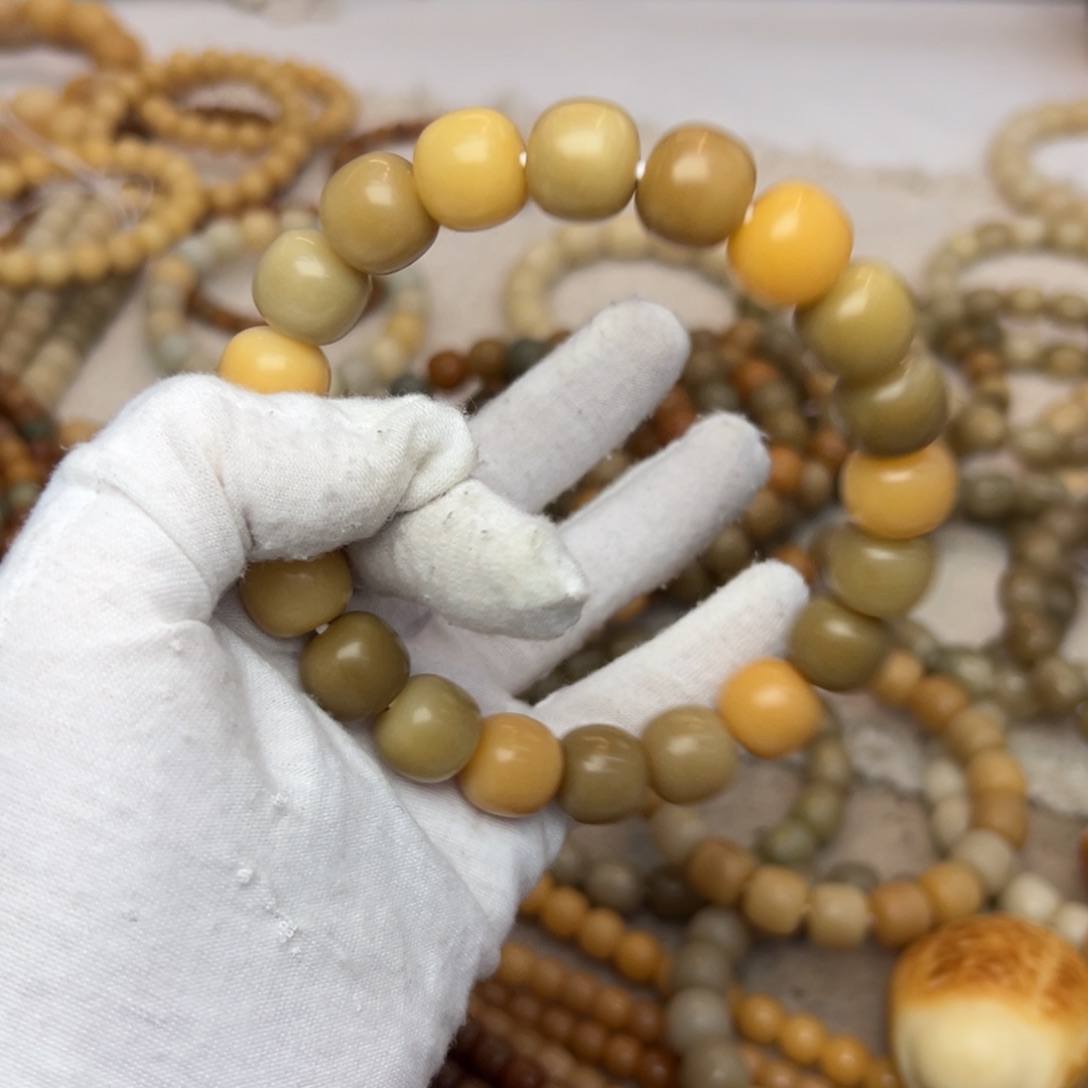 吊坠菩提根/象牙果14干磨微瑕502