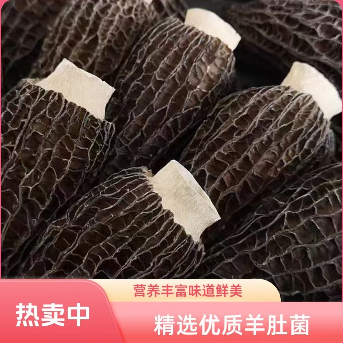 精选羊肚菌产地溯源高品质山珍菌菇干货煲汤炖汤送礼佳品