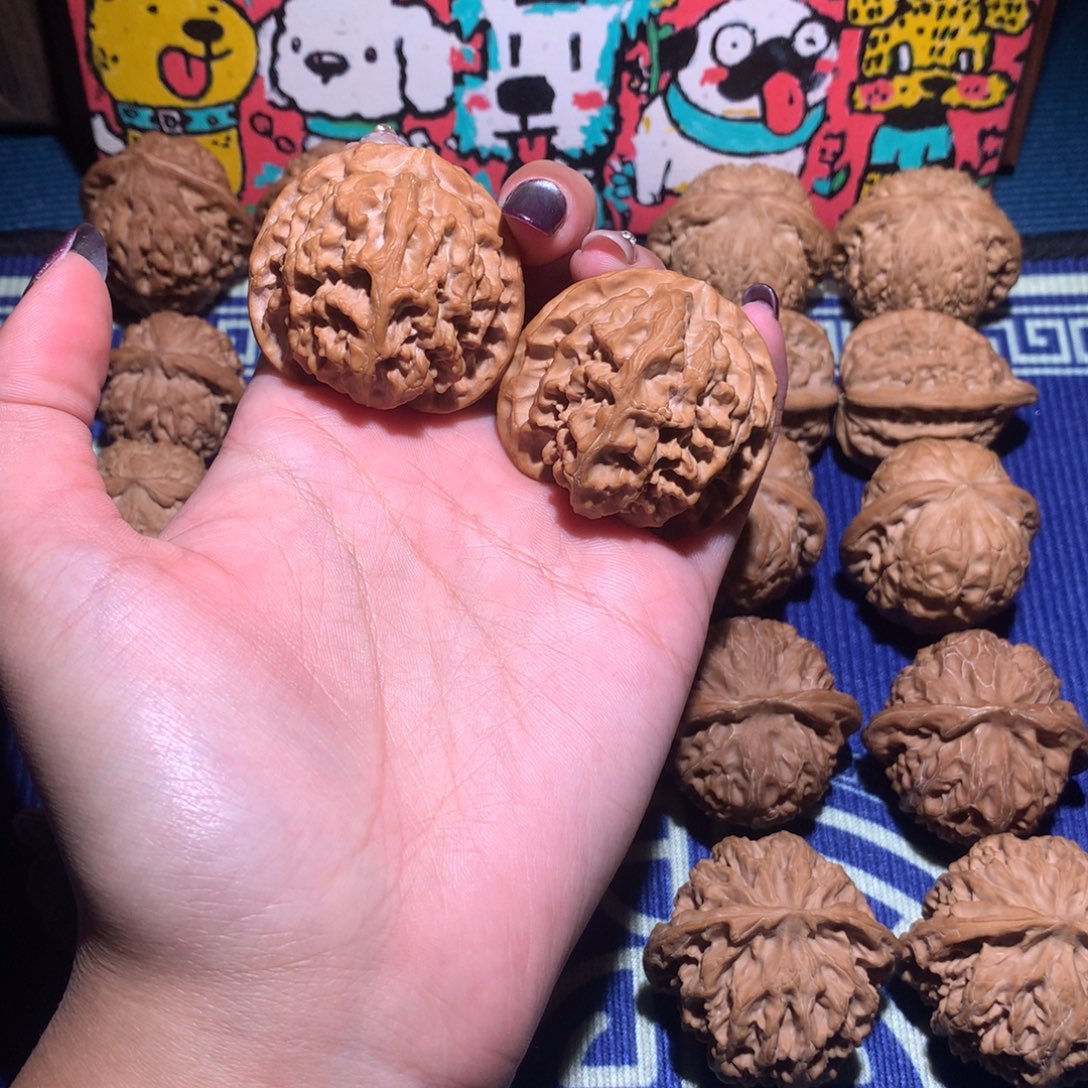 41苹果园501 111111