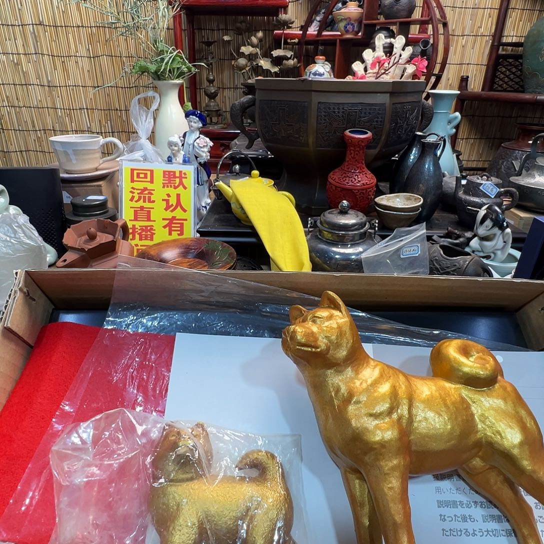 初遇见感谢支持感谢分享