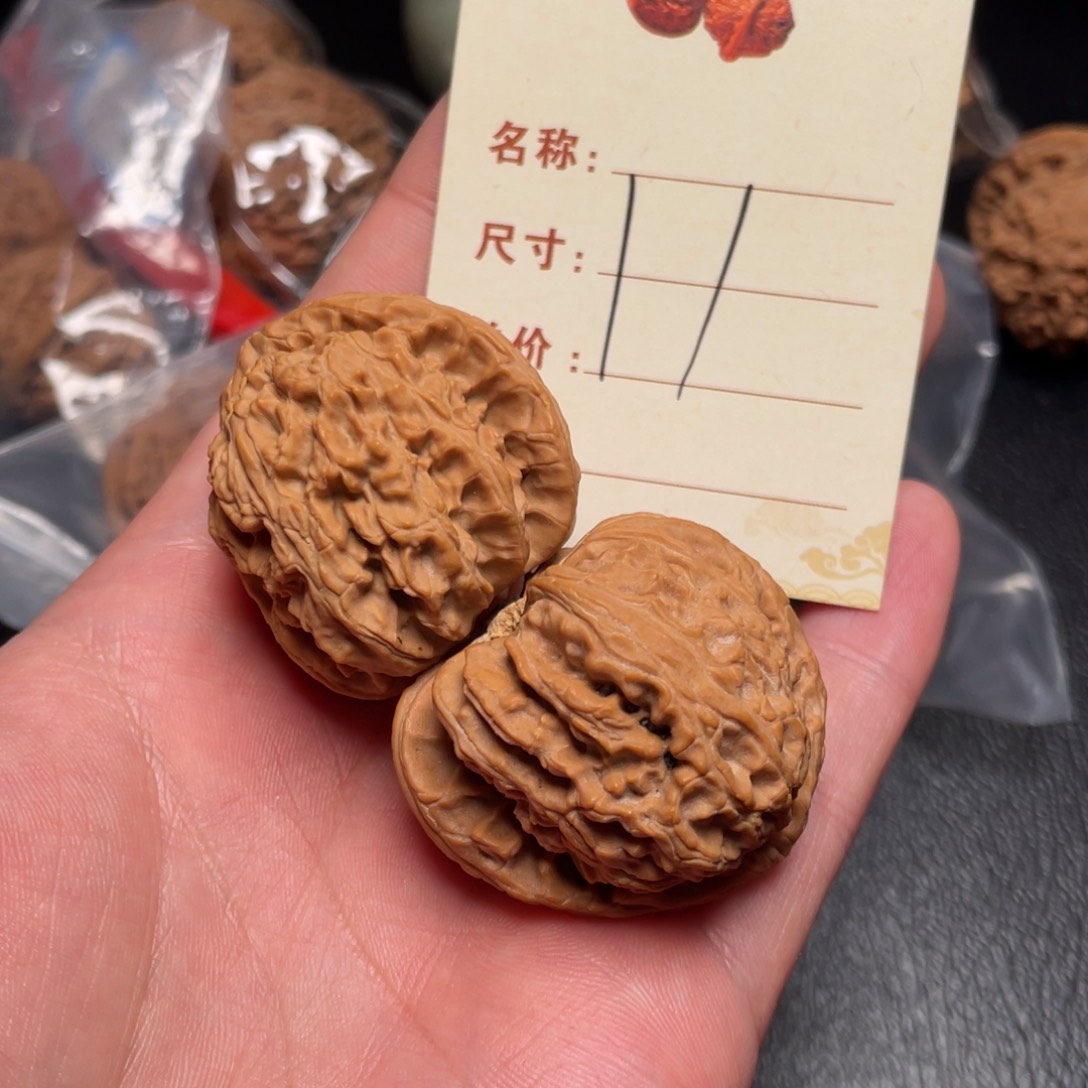 文玩核桃把件白狮子天残脚40尺11