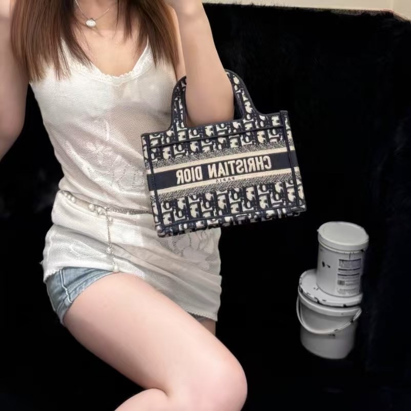 99新 DIOR/迪奥 迪奥   book tote 老花mini小托特包 手提包