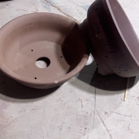 50-2。微瑕。   30-13