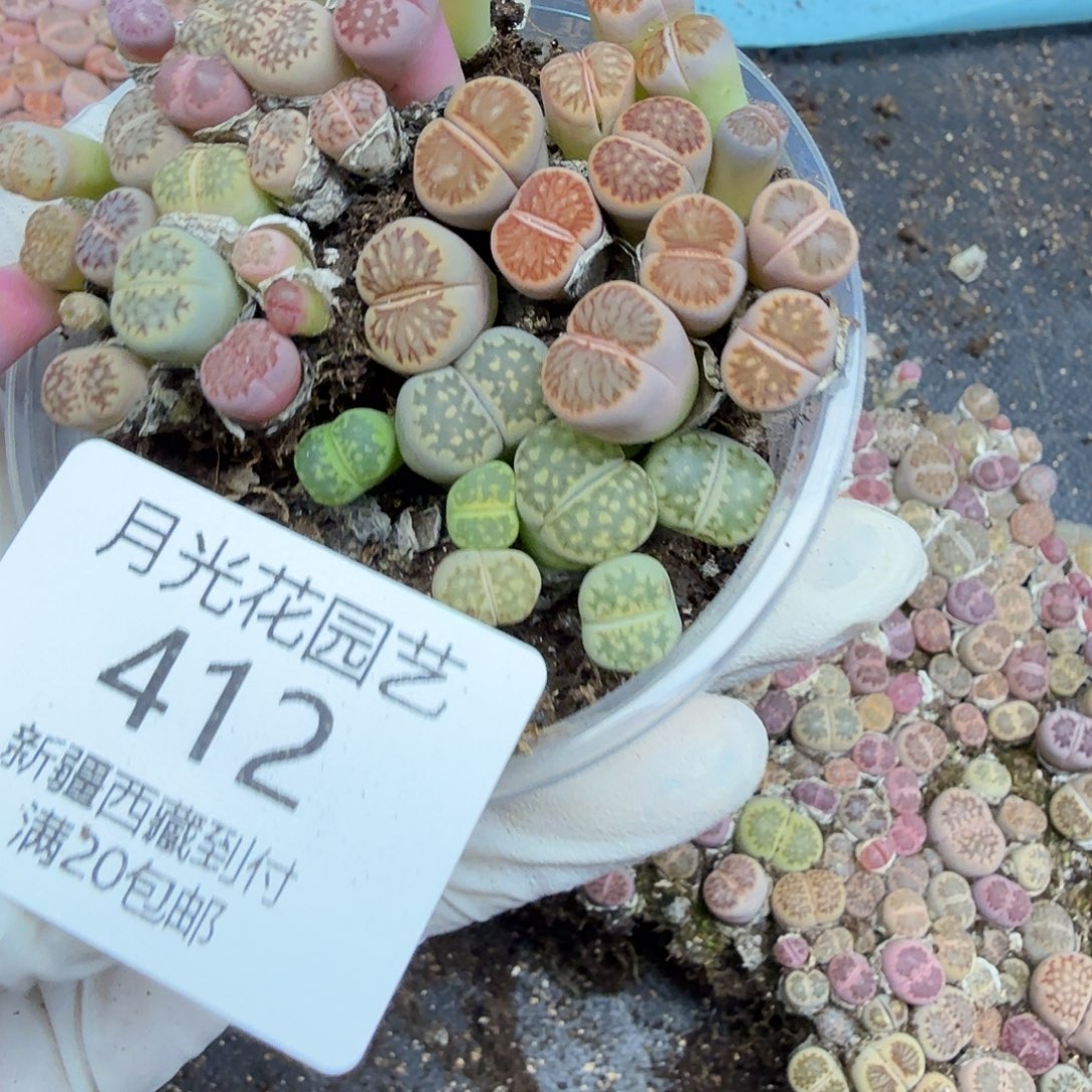 这个点睡起来了好开心哟412是