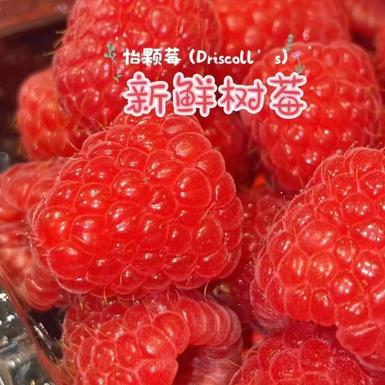 小时达怡颗莓树莓