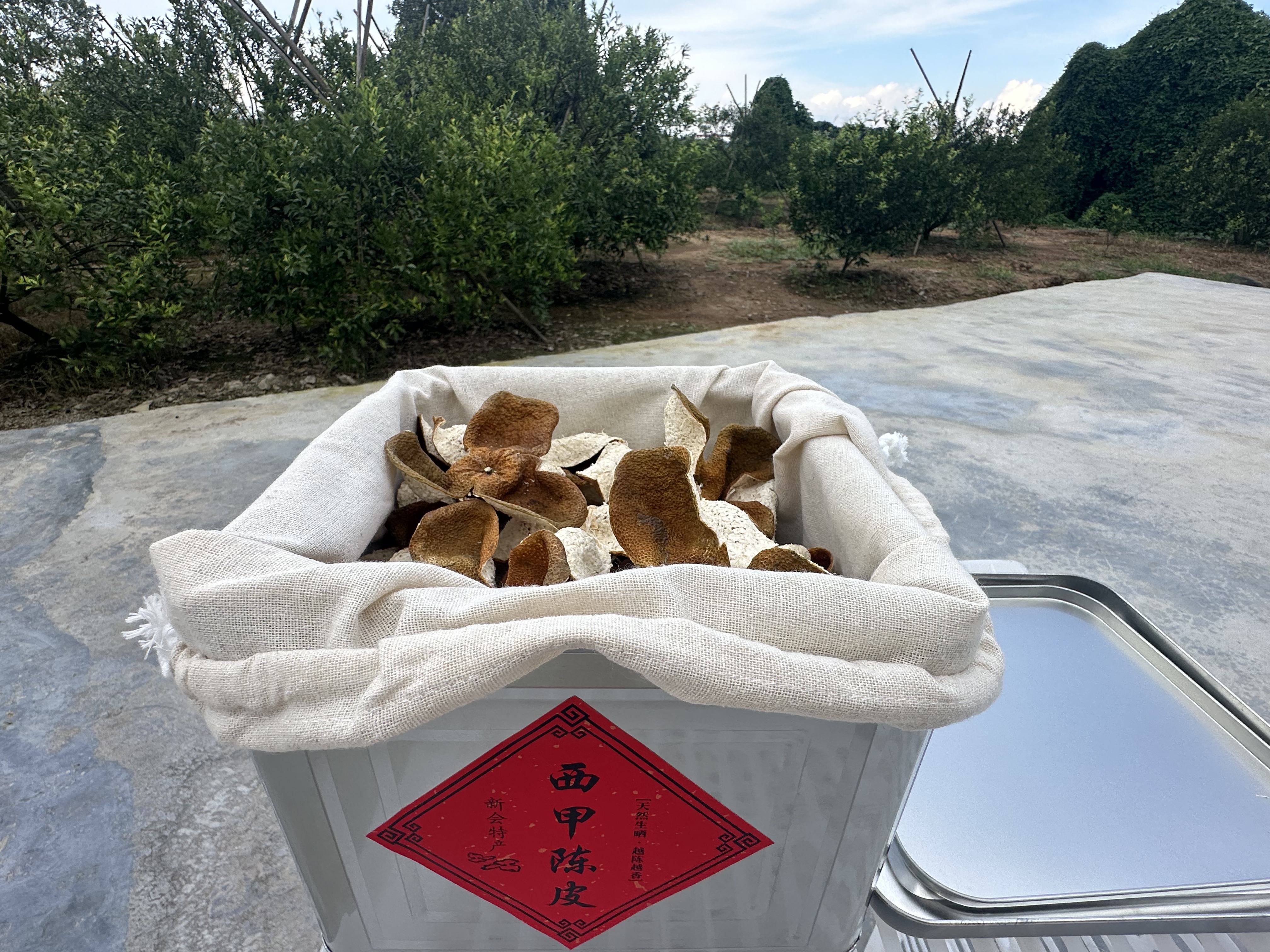 【西甲陈皮】新会陈皮 西甲2024年圈枝大红皮【油包满天星】泡水泡茶