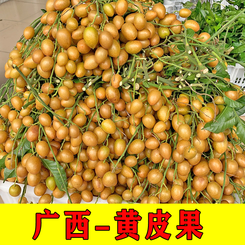 顺丰包邮广西鸡心黄皮果黑金刚无核鸡心黄皮果新鲜当季现摘酸甜