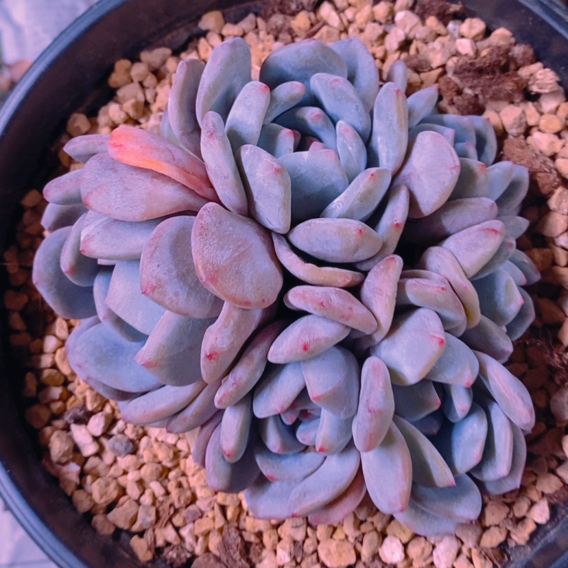 【闪购商品】111111111