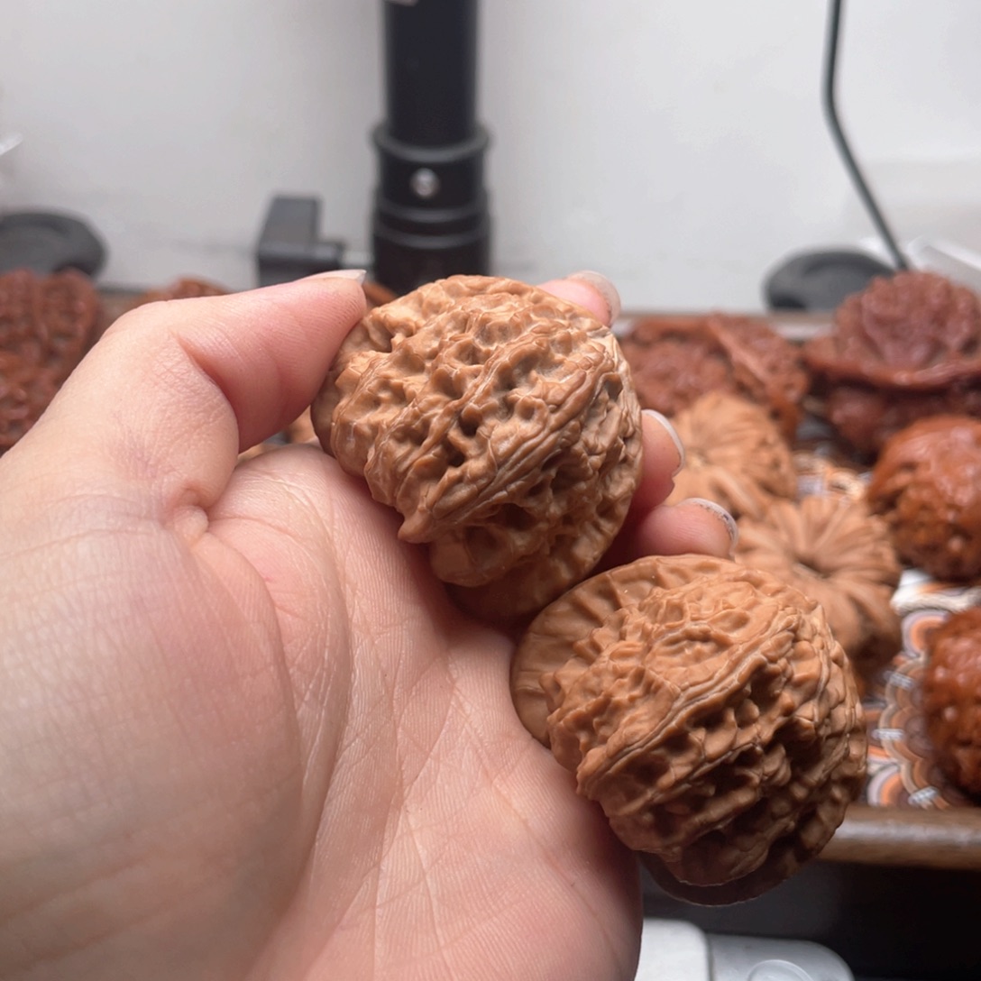 德***森手串/手链核桃白狮子41尺全品