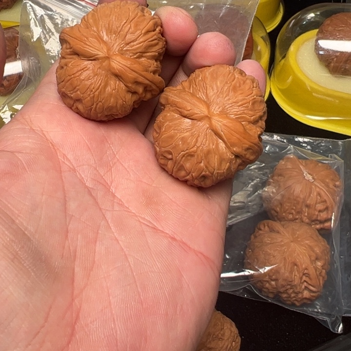 核桃元宝，平谷，41已打底