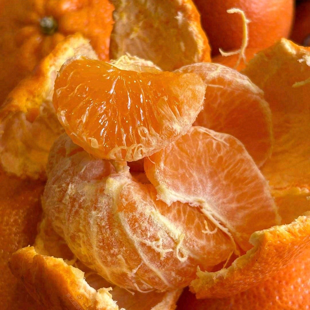 新鲜现摘应季水果砂糖橘3斤装云南省