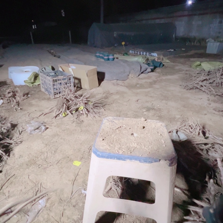 当前无花栽培后可以开花豆绿