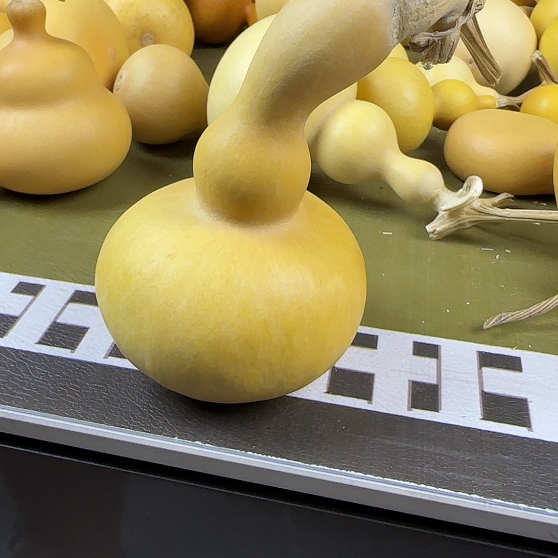 爱*笋djsjsnsnsnssnsnsnsnsbs