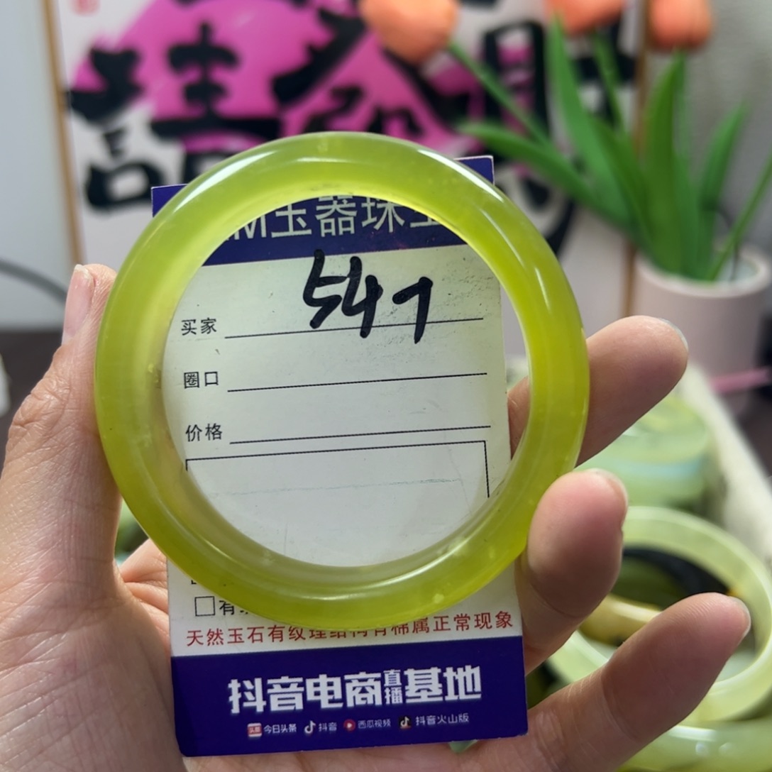 蛇纹石玉手镯未镶嵌263