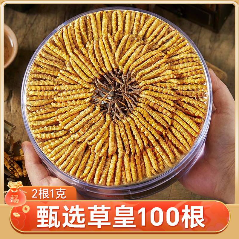 【甄选100根草皇】冬蟲夏草 2根1克 高品质虫草皇礼盒 整草佳品