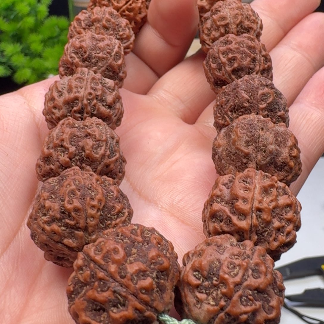 手串金刚菩提老籽蜂窝双龙