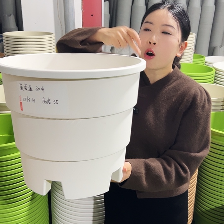 正品蓝莓盆口41高35白色3只无托
