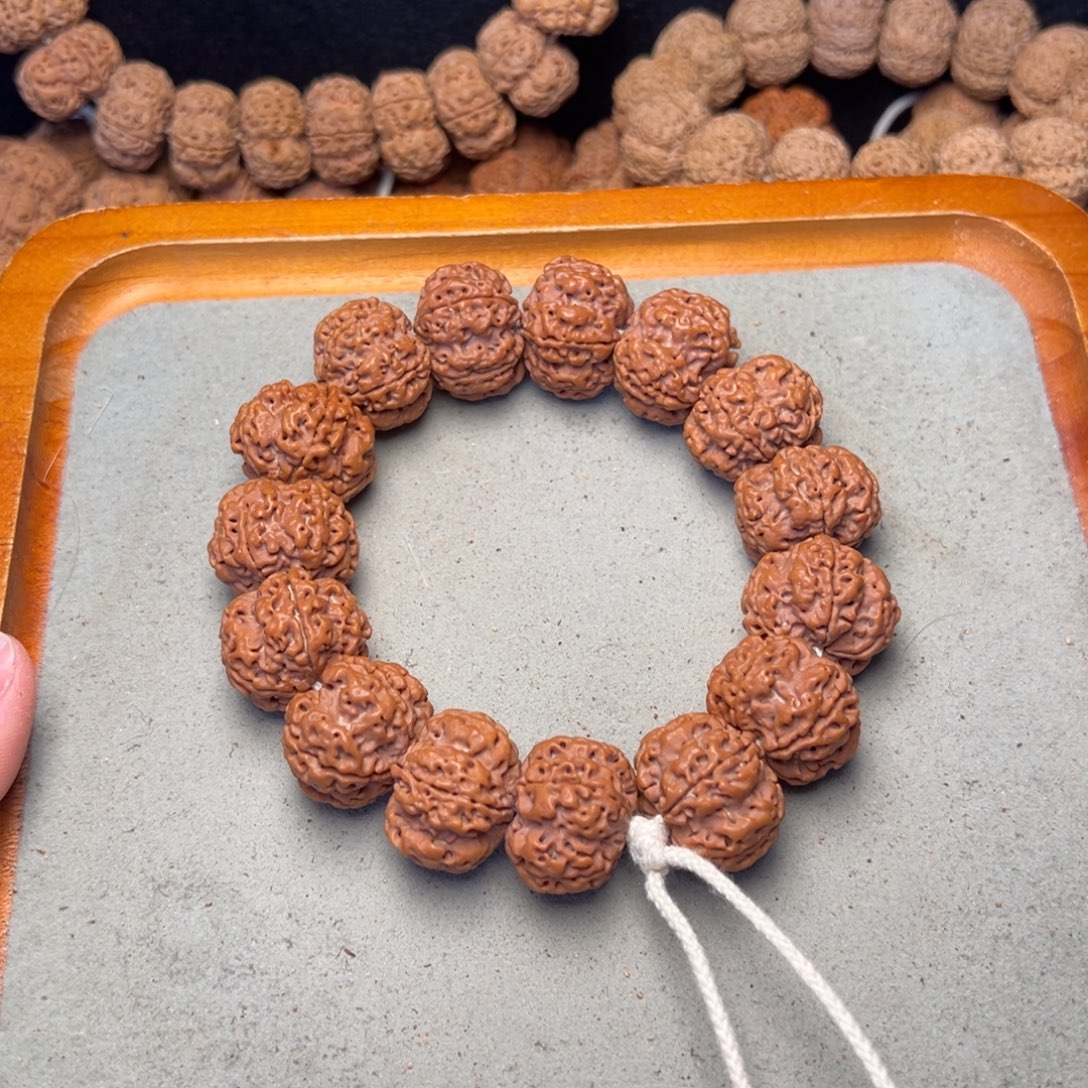 菩提27号金刚菩提原生态梅花24