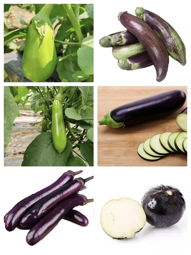 云南高原山货~茄子~卤蛋甄选