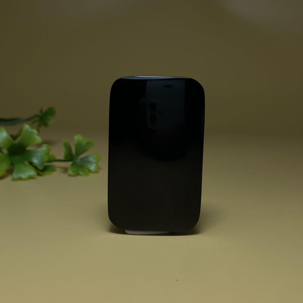 A619  和田玉  LJ3862207