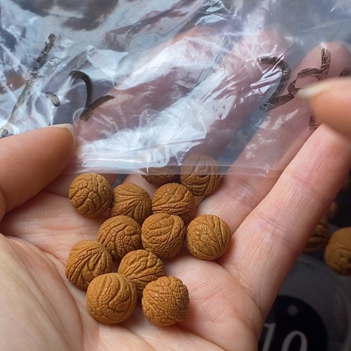 文玩核桃手串秦岭野生龙纹桃核12