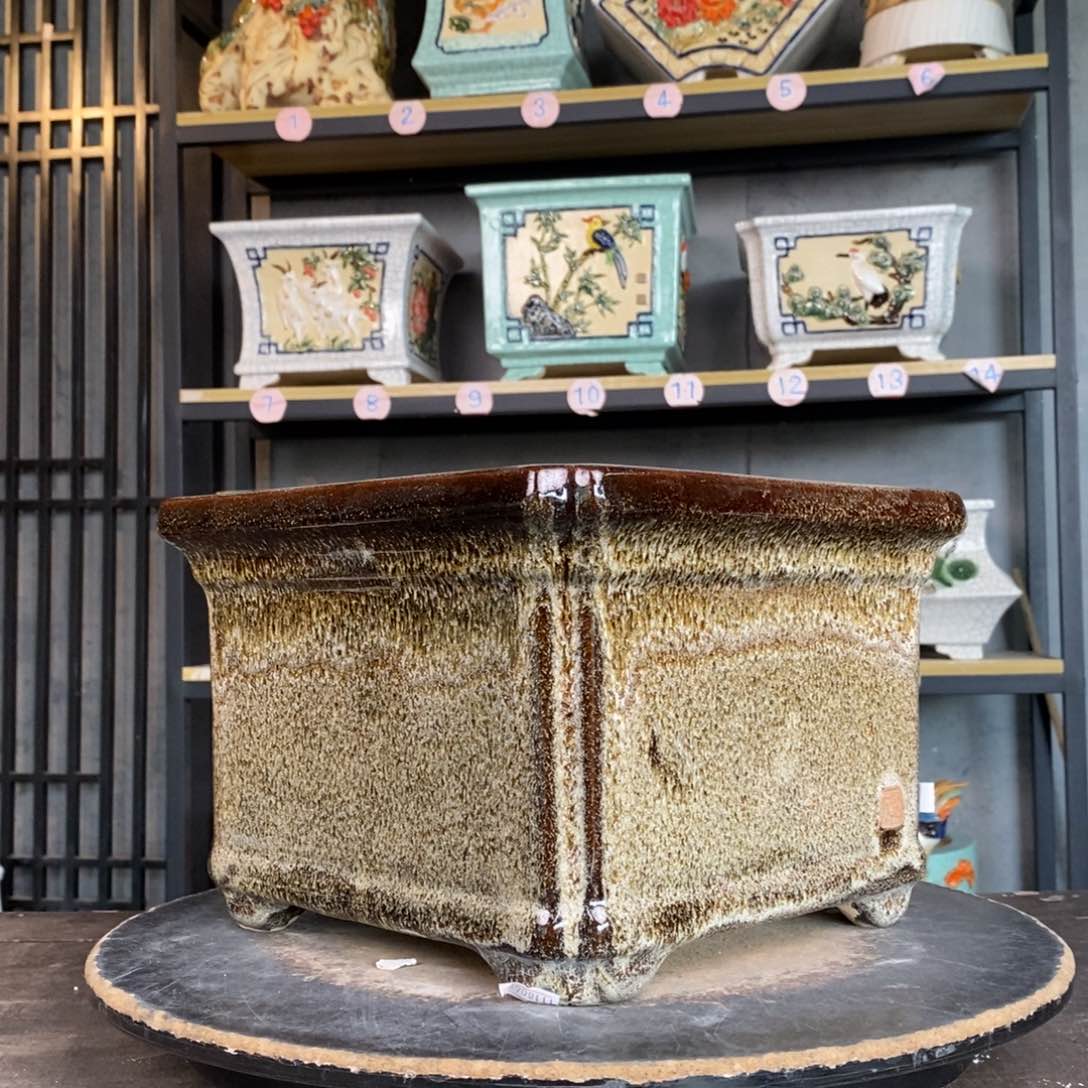 红陶元*人5黄色方盆