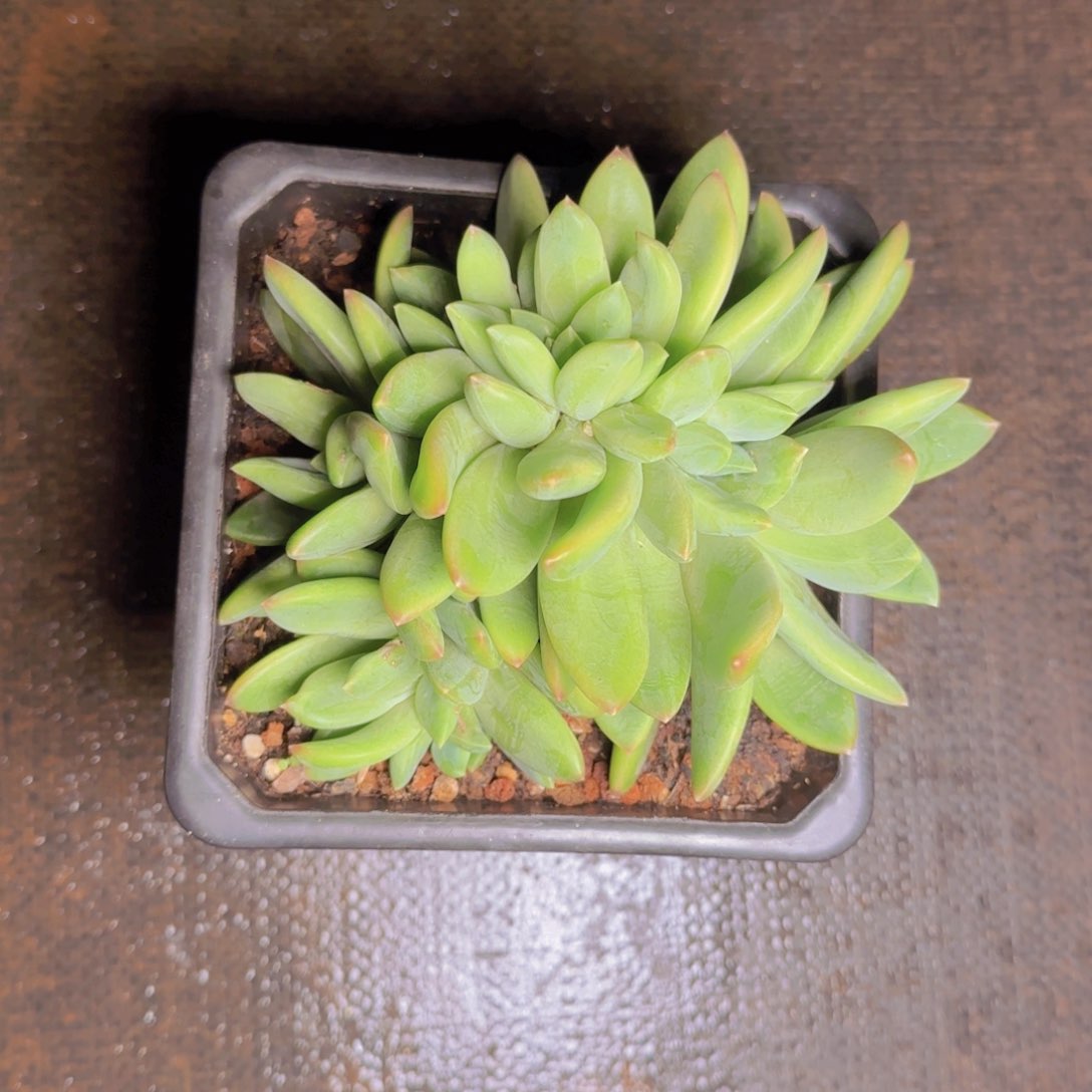 海洋缀福利1111111111111