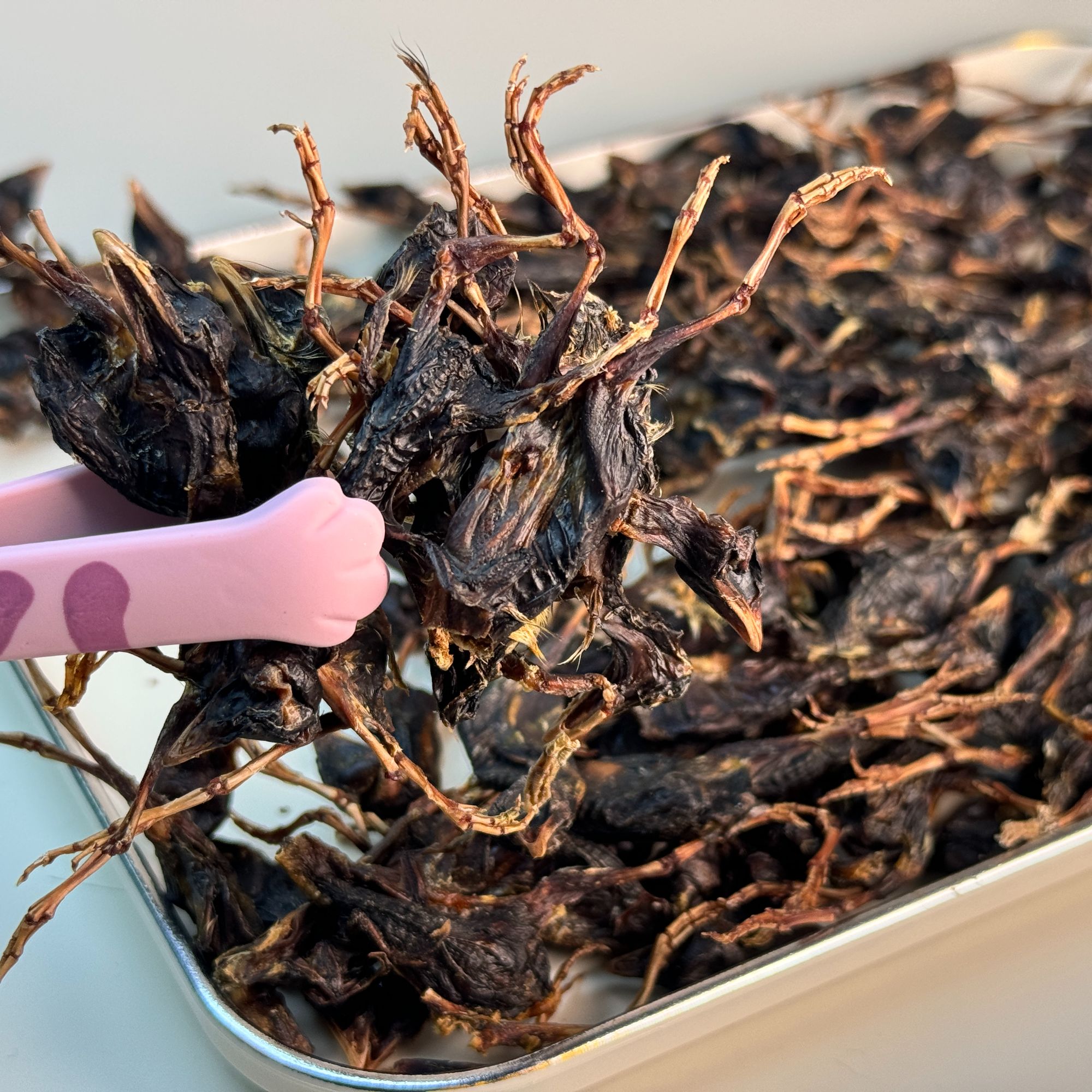 宠物零食烘焙零食磨牙鹌鹑零添加手工制作