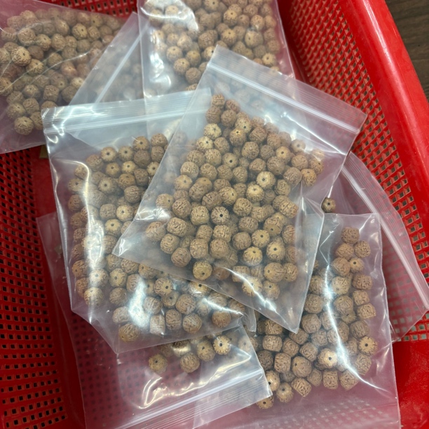 文玩金刚盘龙散籽100颗一单