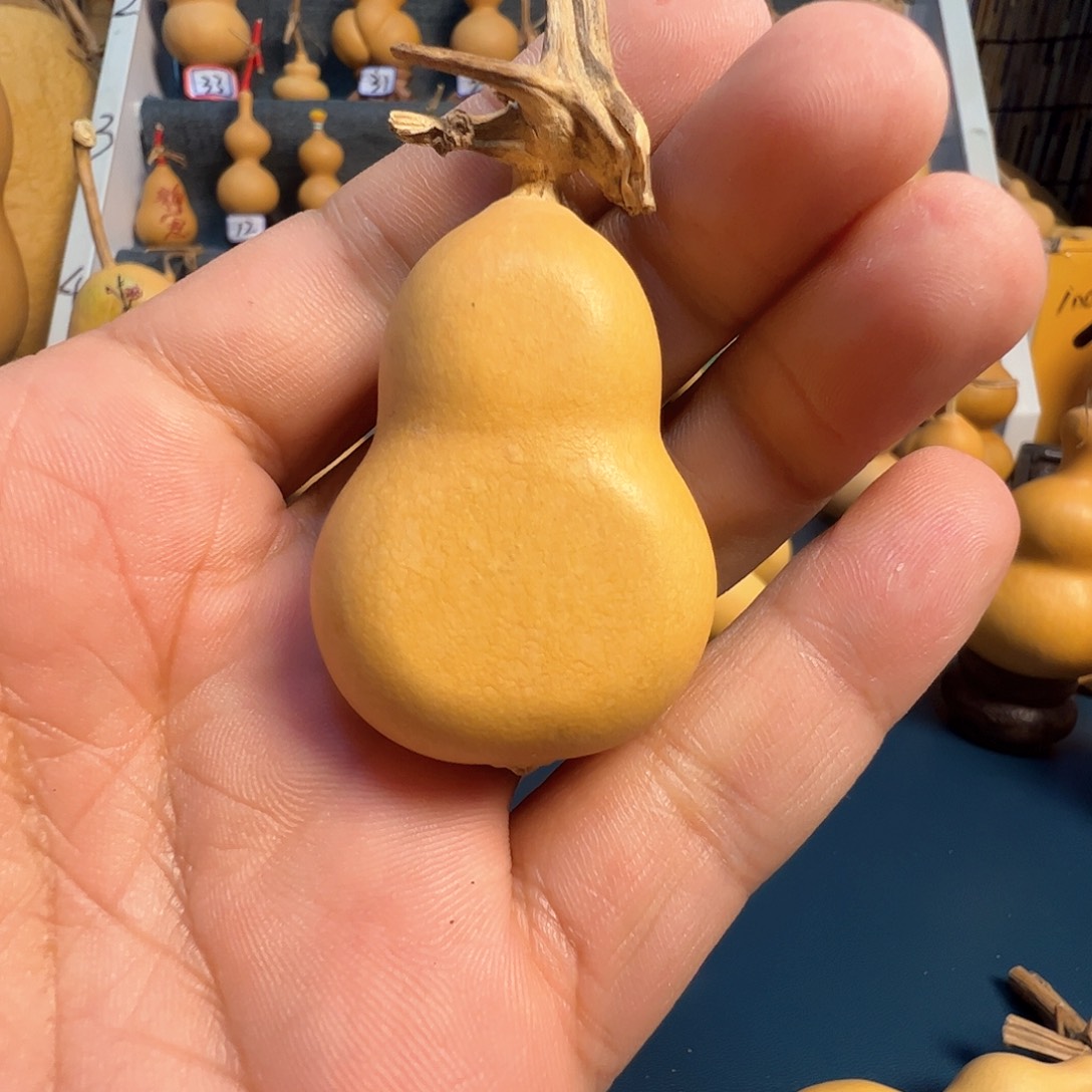 赵***赵夹扁葫芦么么么么么