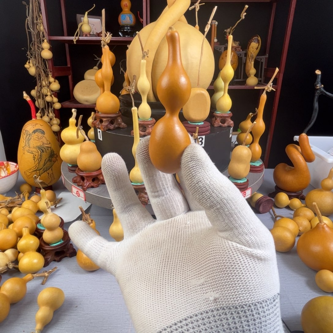 路***间藤木我的小可爱，一点也不像个女孩