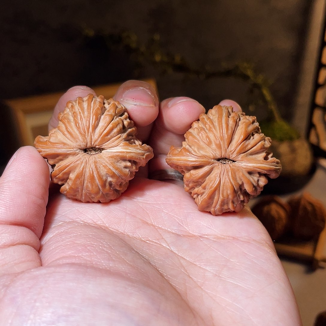 核桃手串/手链我*哥39汉高楼全品无修