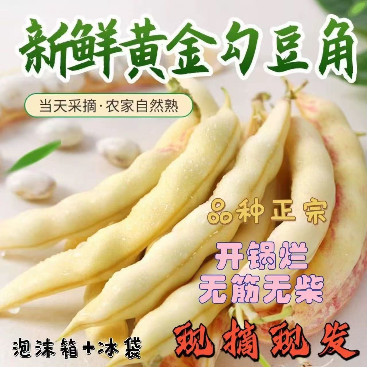 东北黄金勾豆角25年黑龙江头茬现摘现发净重5斤顺丰包邮