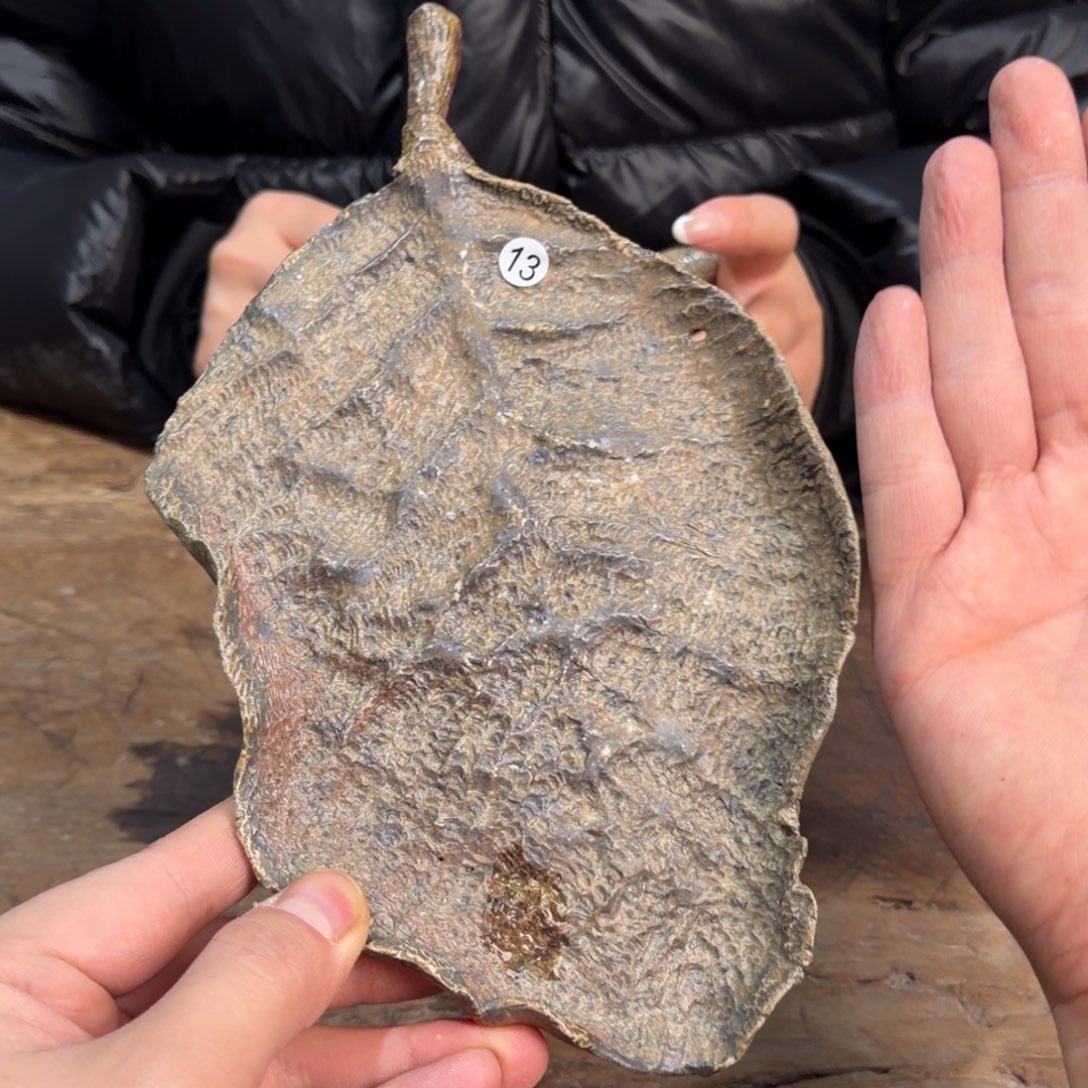 壶壶杯一一一一一一一一一13