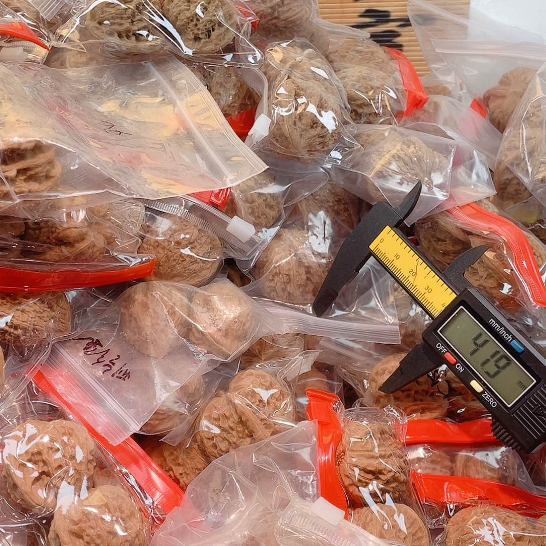 四***虎核桃手串/手链哈哈哈哈哈哈哈哈