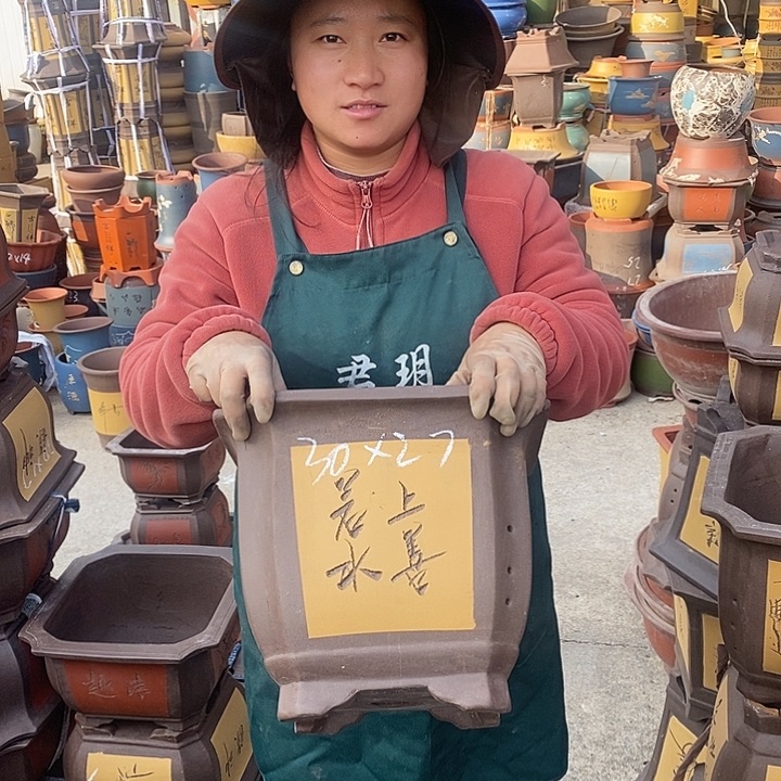 紫砂花盆盆栽花卉苗木种植