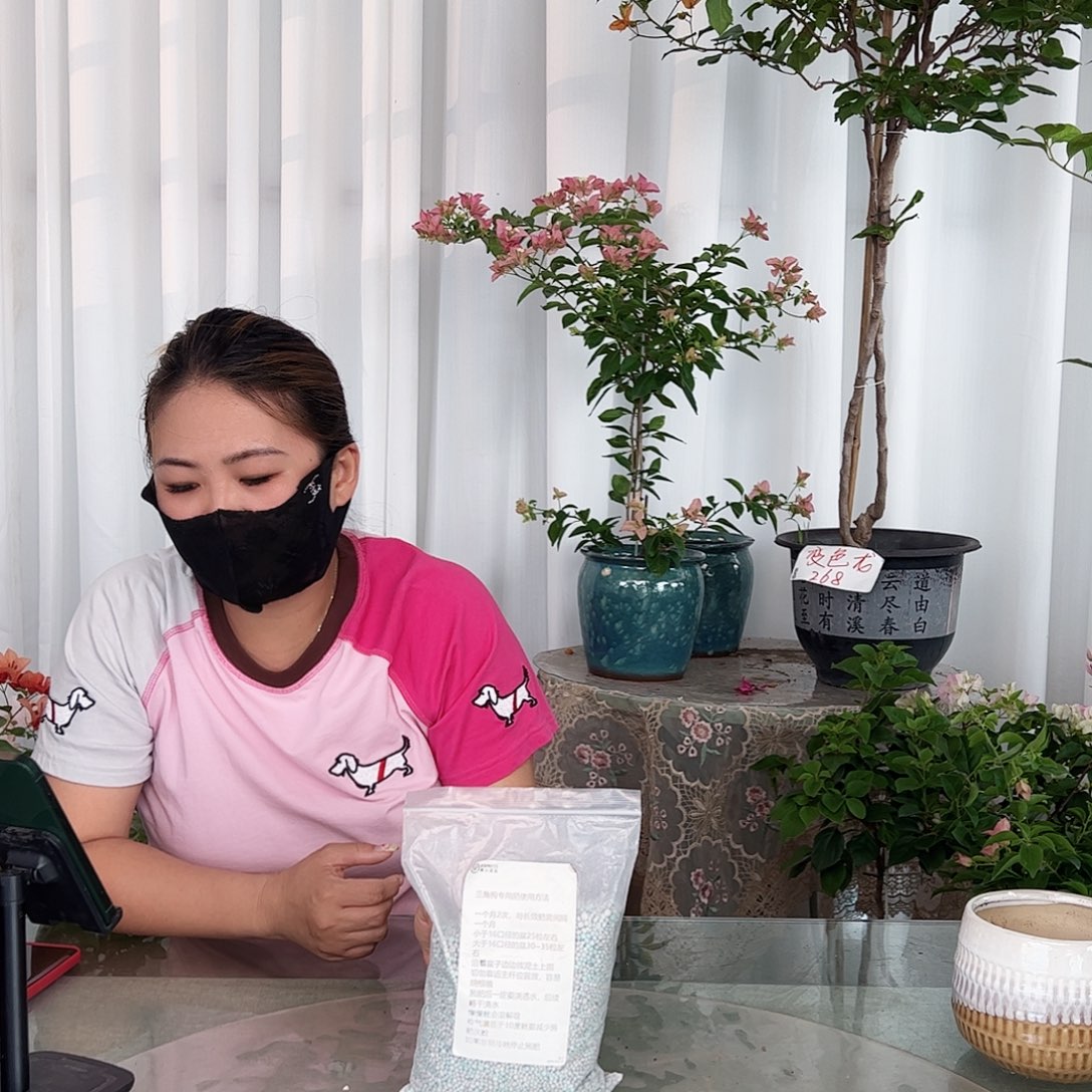 当前无花栽培后可以开花专用肥两斤