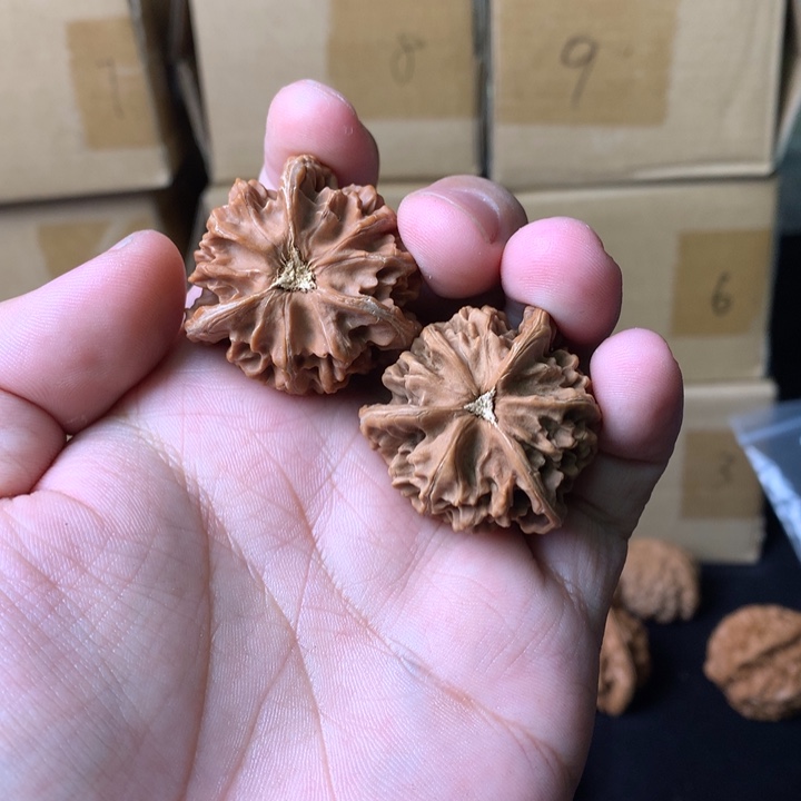 三棱有色差盘山三棱