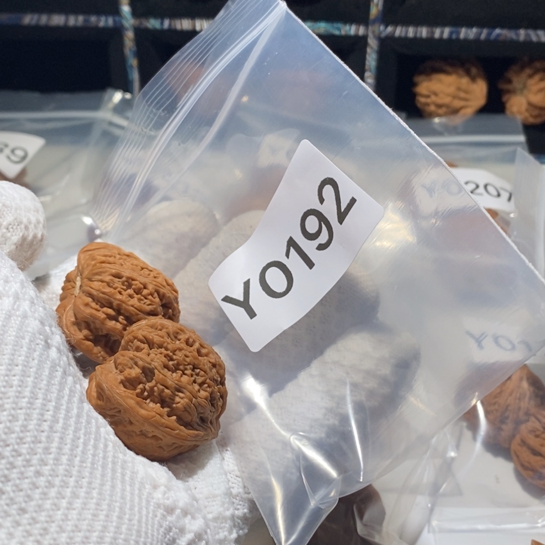 王***。文玩核桃吊坠35密纹全品