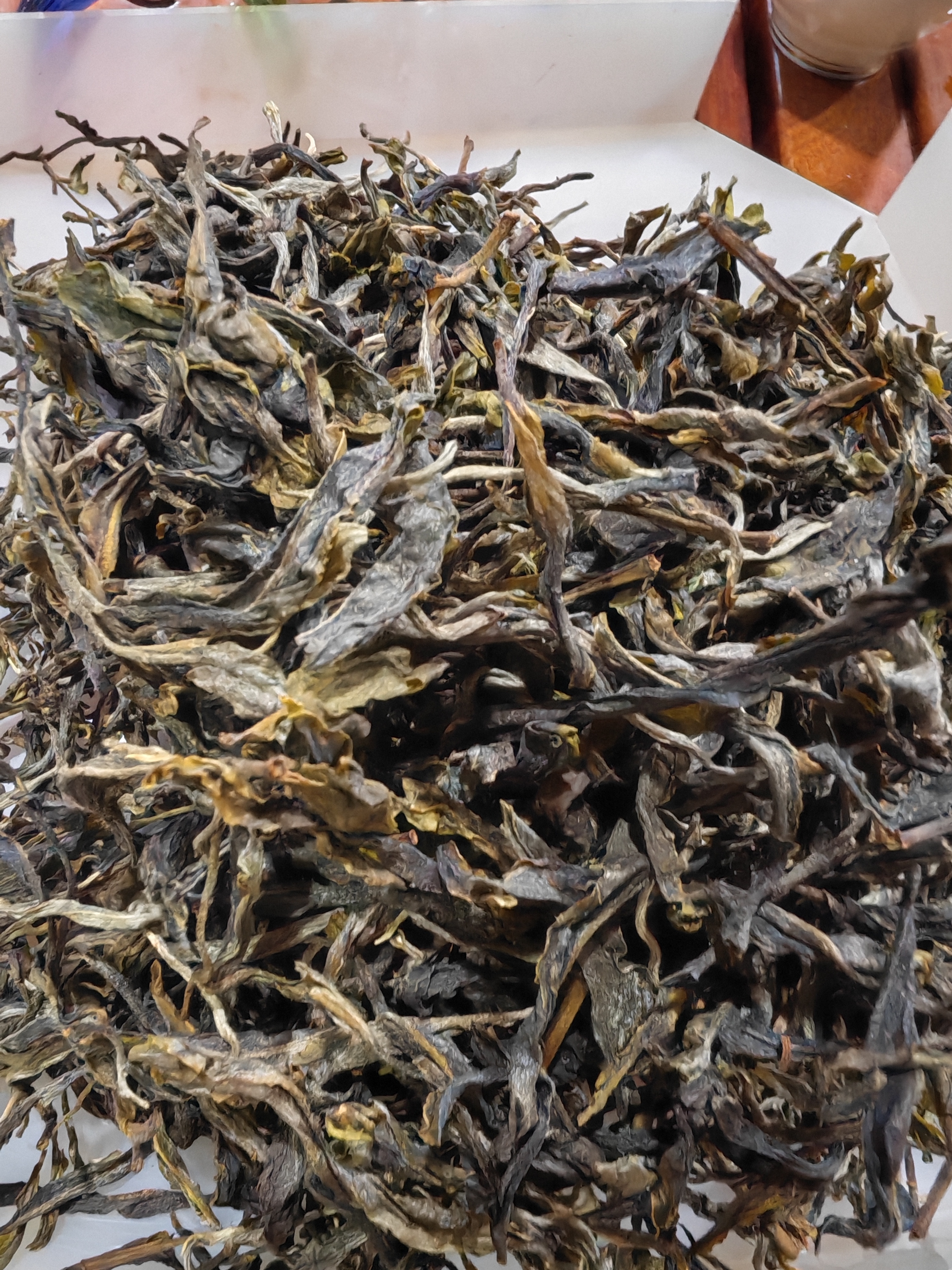 晒青茶（2024年中大树头春）