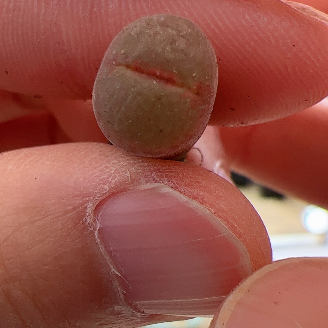 【闪购商品】297 粉钻