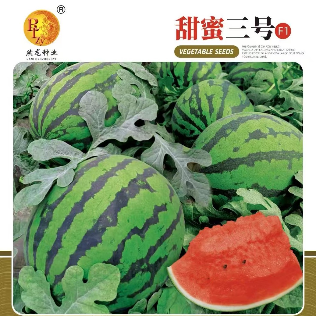甜蜜三号西瓜种子约300粒/袋