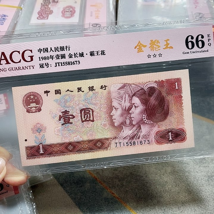 15581673。。。。。。金龙