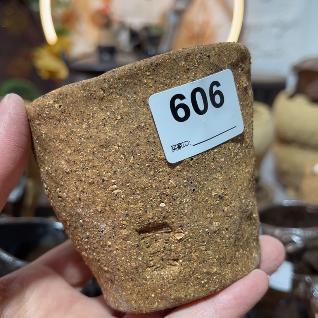 木村信弘柴烧保平